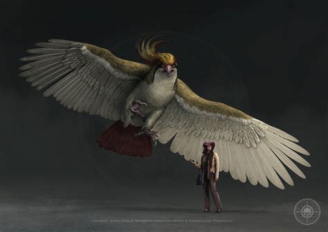 pidgeot size.